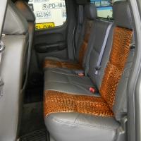 snakeskin-rear-seats-large